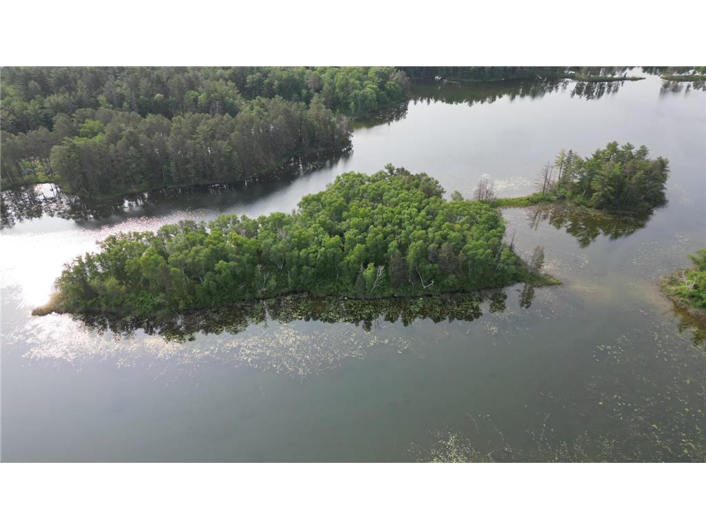 22510 Spider Island, Nevis, MN, 56467 MLS 6388093 Edina Realty