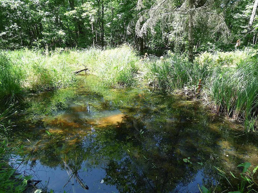 22519 County Road 3 Lake Edward Twp MN 56465 6588818 image11