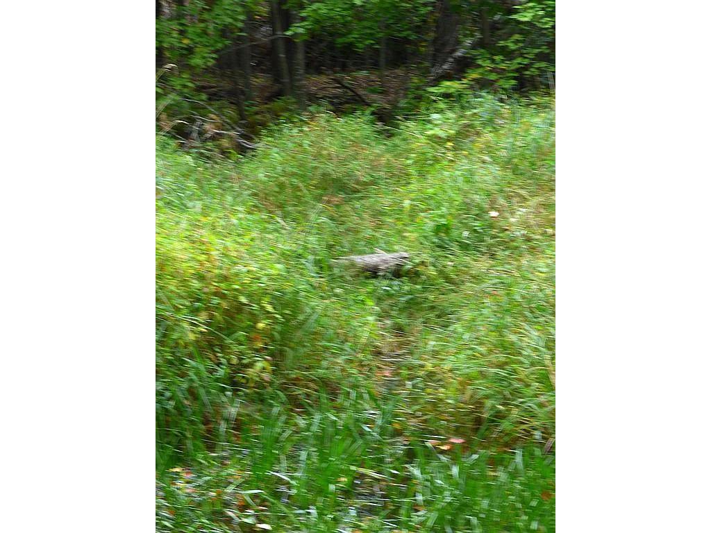 22519 County Road 3 Lake Edward Twp MN 56465 6588818 image12