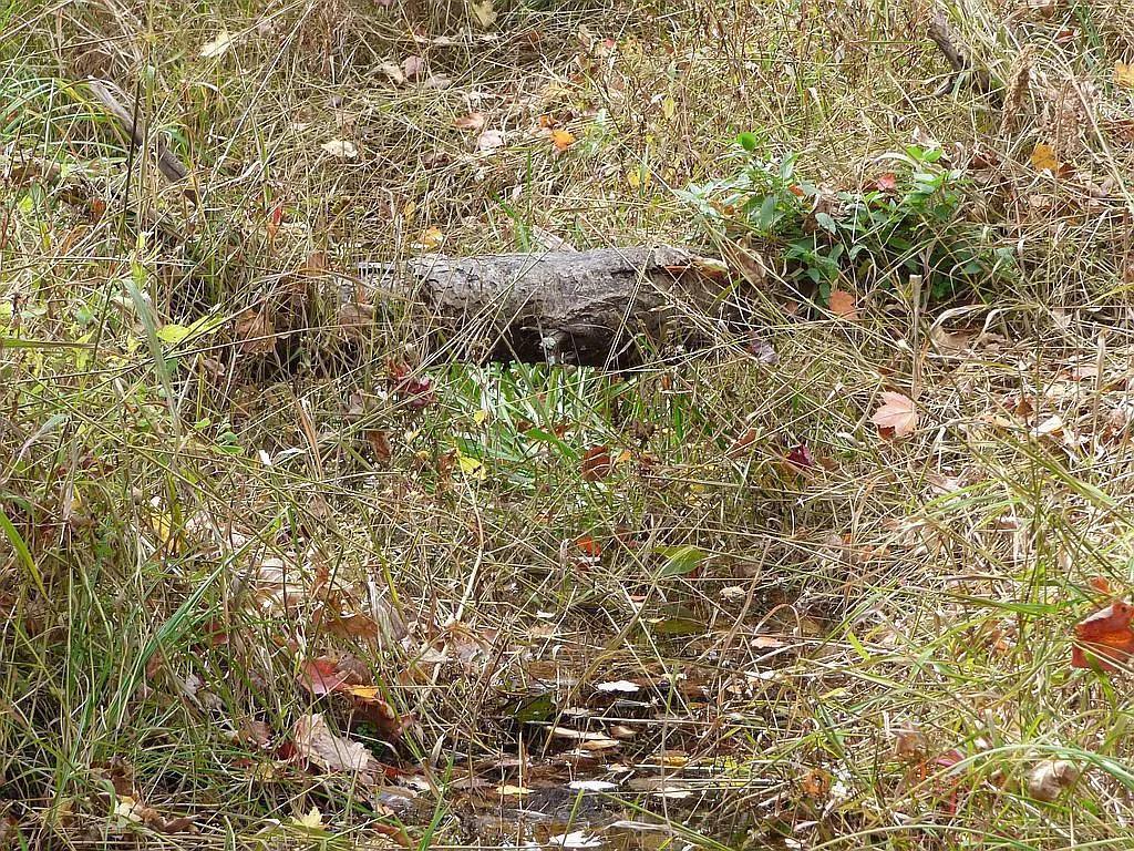 22519 County Road 3 Lake Edward Twp MN 56465 6588818 image17