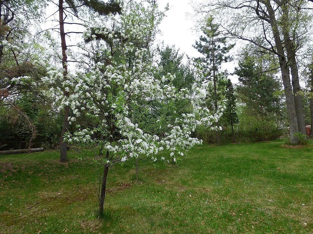 22519 County Road 3 Lake Edward Twp MN 56465 6588818 image18