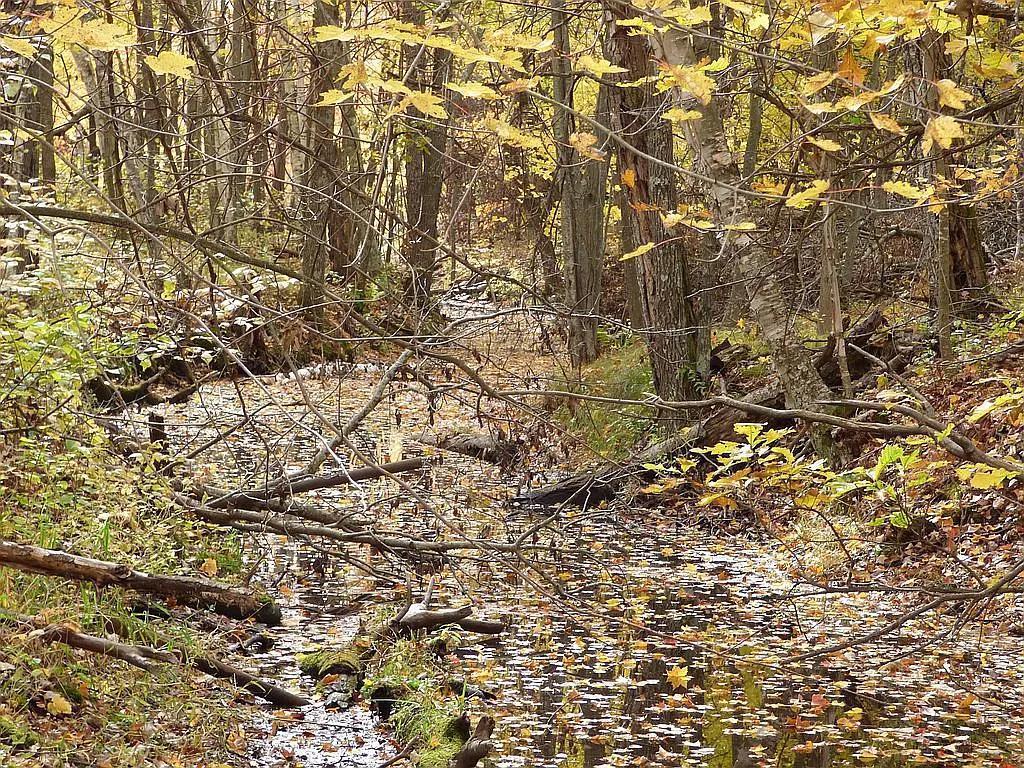 22519 County Road 3 Lake Edward Twp MN 56465 6588818 image19