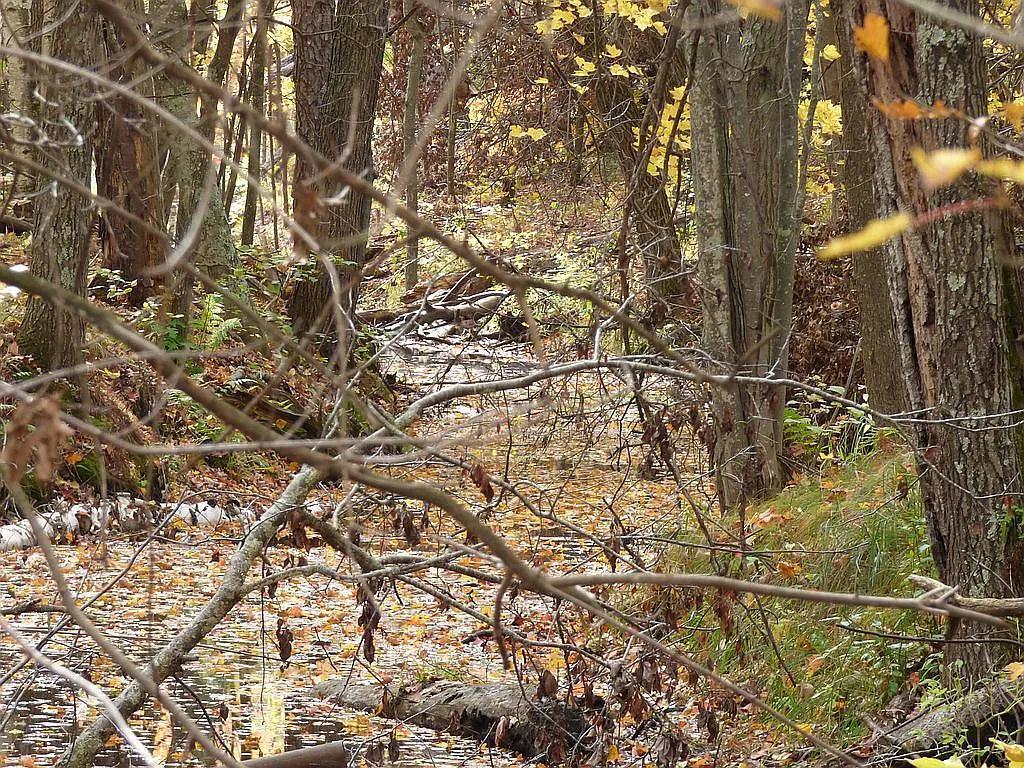 22519 County Road 3 Lake Edward Twp MN 56465 6588818 image20