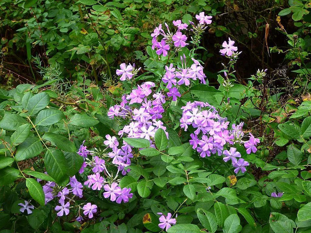 22519 County Road 3 Lake Edward Twp MN 56465 6588818 image21