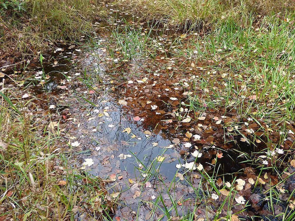 22519 County Road 3 Lake Edward Twp MN 56465 6588818 image23