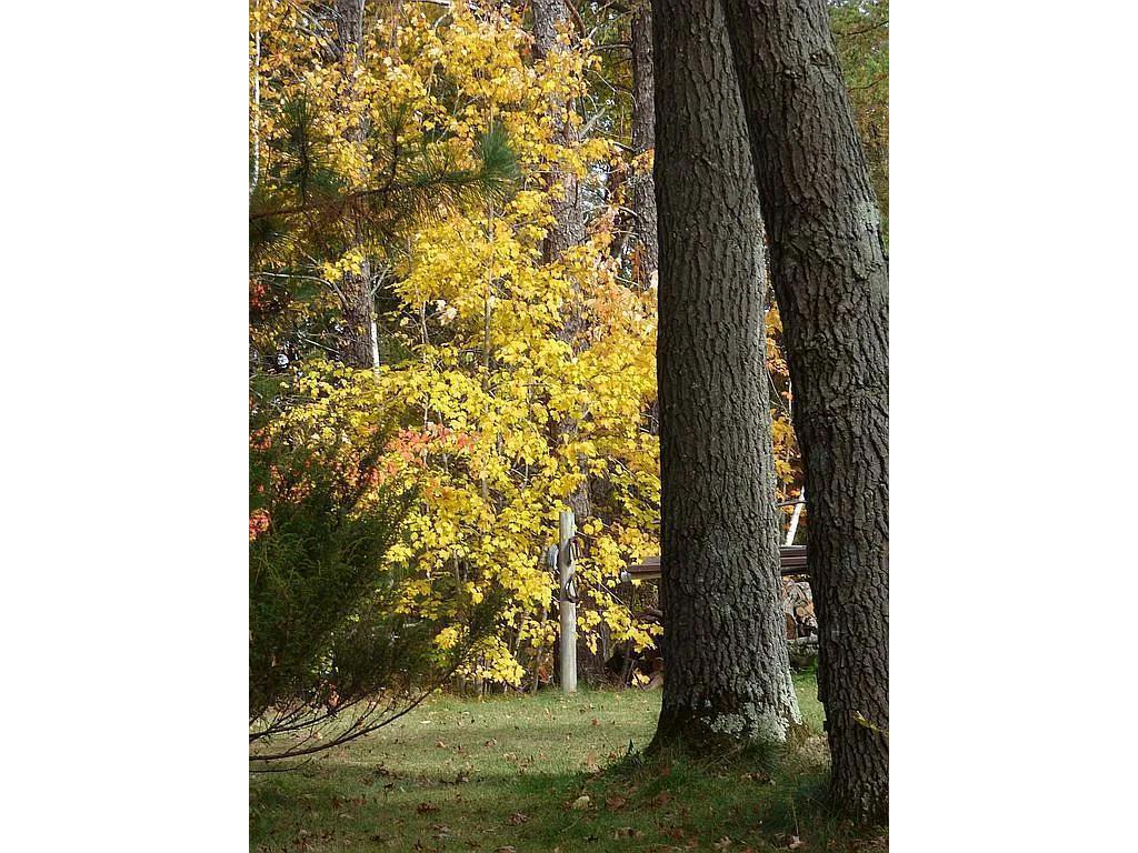 22519 County Road 3 Lake Edward Twp MN 56465 6588818 image26