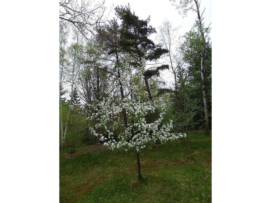 22519 County Road 3 Lake Edward Twp MN 56465 6588818 image27