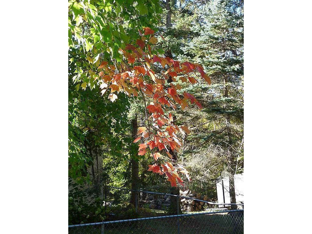 22519 County Road 3 Lake Edward Twp MN 56465 6588818 image29