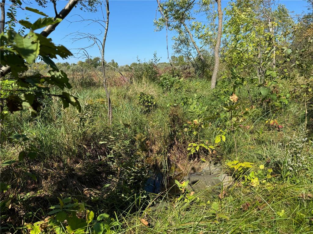 22535 Cedar Lake Drive Aitkin MN 56431 - Cedar Lake 6817172 image11