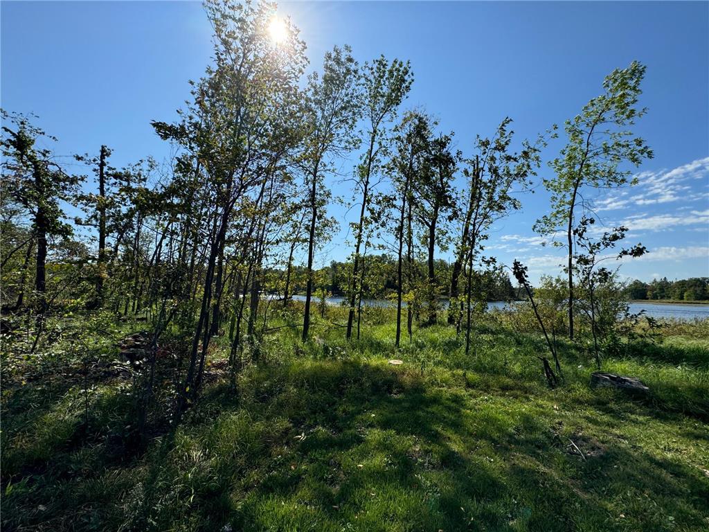 22535 Cedar Lake Drive Aitkin MN 56431 - Cedar Lake 6817172 image13
