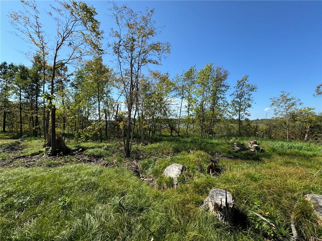 22535 Cedar Lake Drive Aitkin MN 56431 - Cedar Lake 6817172 image20