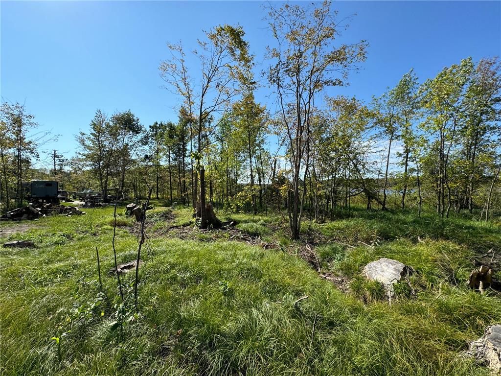 22535 Cedar Lake Drive Aitkin MN 56431 - Cedar Lake 6817172 image21