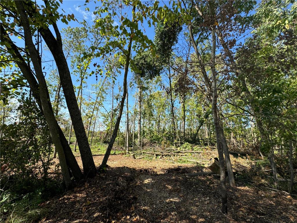 22535 Cedar Lake Drive Aitkin MN 56431 - Cedar Lake 6817172 image28