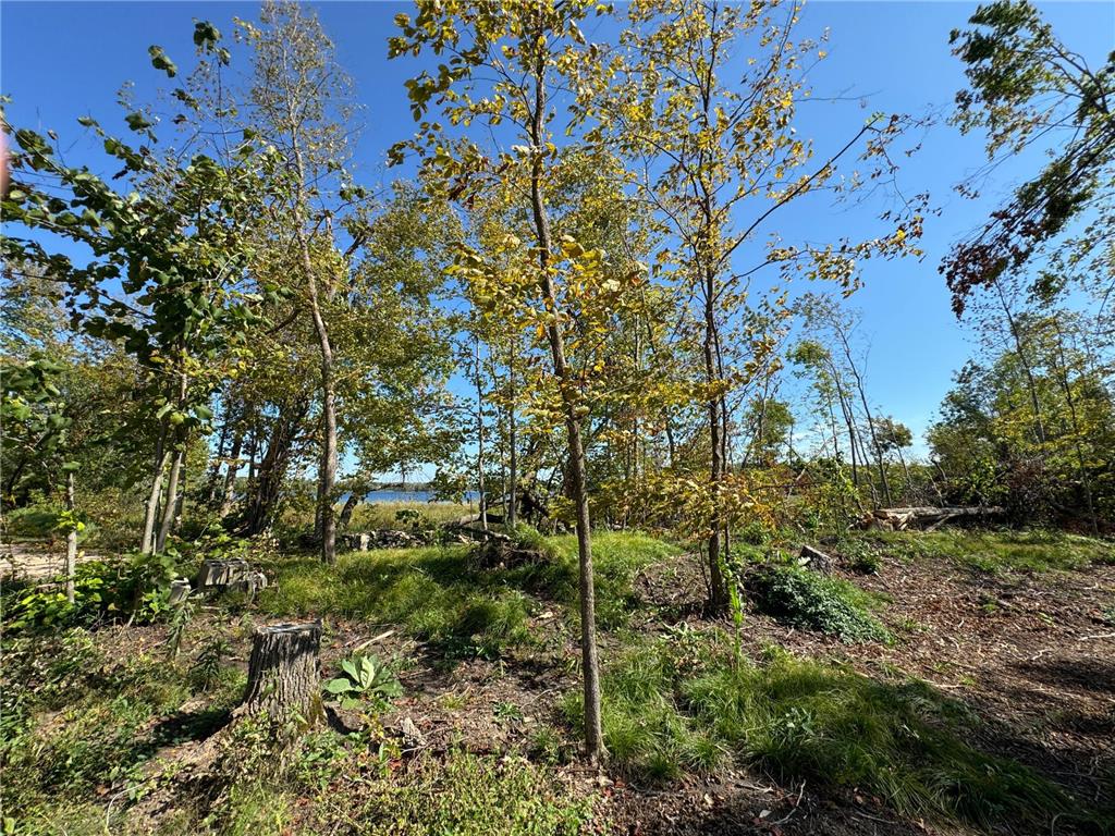 22535 Cedar Lake Drive Aitkin MN 56431 - Cedar Lake 6817172 image29