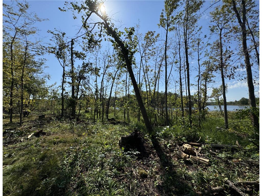 22535 Cedar Lake Drive Aitkin MN 56431 - Cedar Lake 6817172 image30