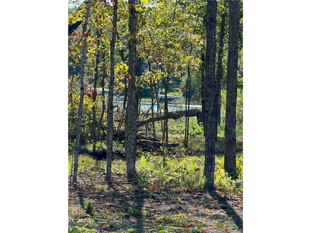 22535 Cedar Lake Drive Aitkin MN 56431 - Cedar Lake 6817172 image31