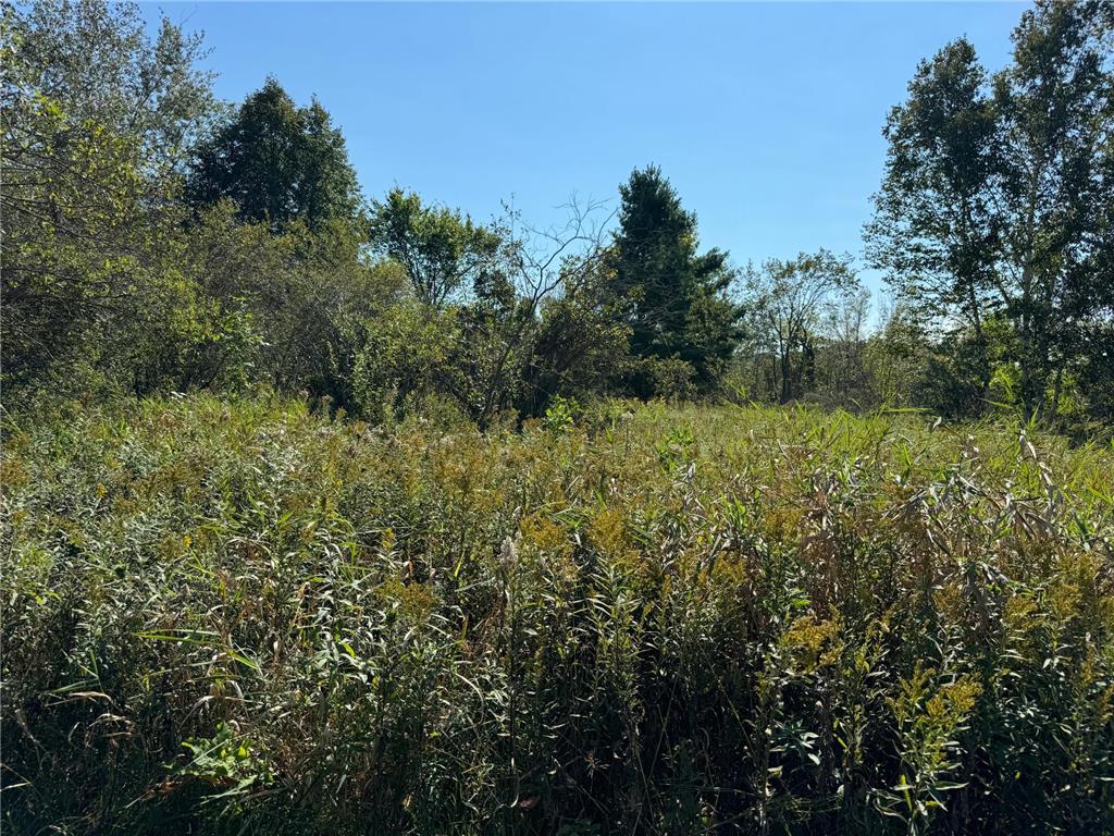 22535 Cedar Lake Drive Aitkin MN 56431 - Cedar Lake 6817172 image38