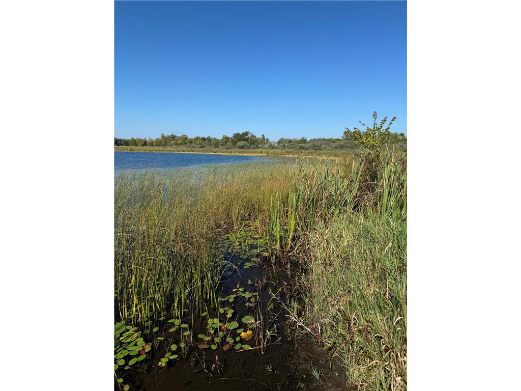 22535 Cedar Lake Drive Aitkin MN 56431 - Cedar Lake 6817172 image5