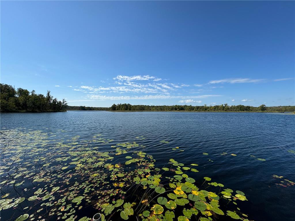 22535 Cedar Lake Drive Aitkin MN 56431 - Cedar Lake 6817172 image8