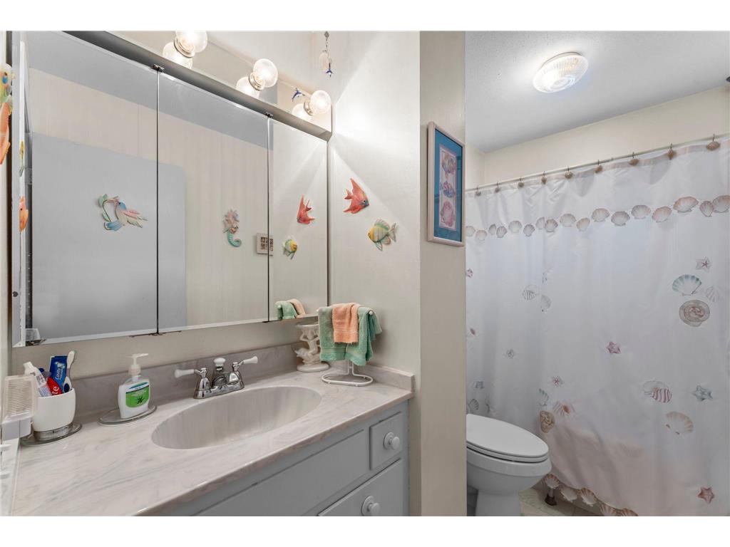 2254 Orchard Lane White Bear Lake MN 55110 6819951 image16