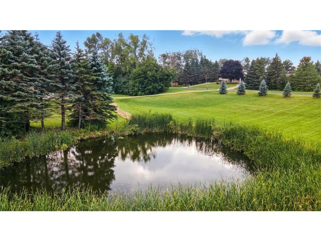 22575 Pinto Lane Lakeville MN 55044 6782855 image64