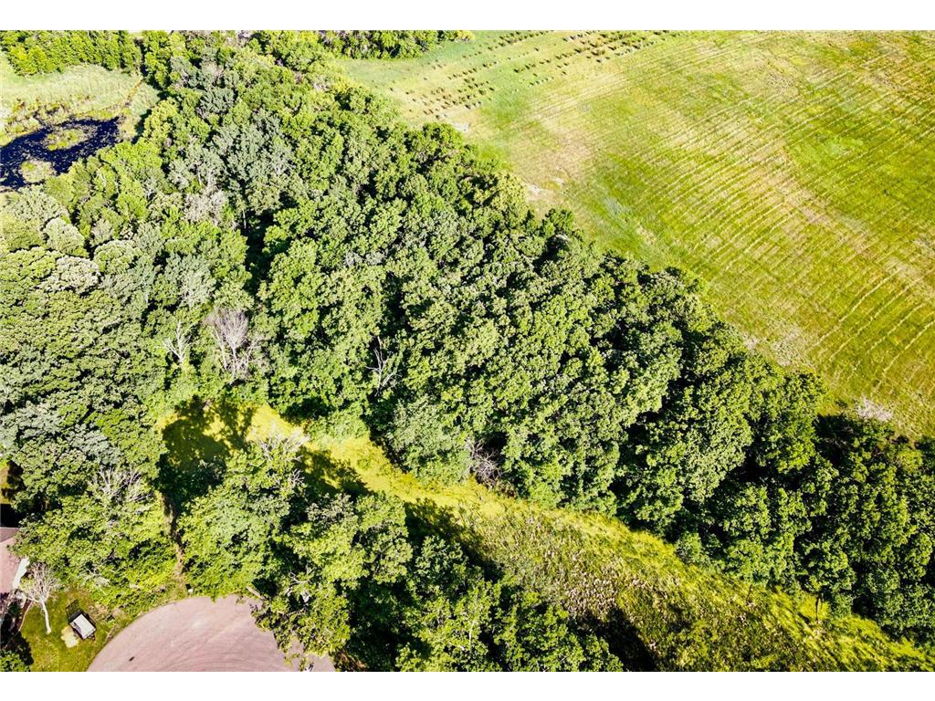 2259 Wilderness Trail Detroit Lakes MN 56501 - Detroit 6384422 image1