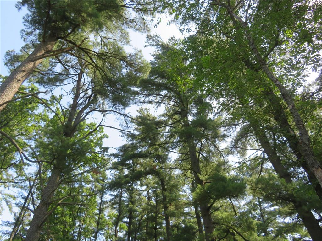 2259A 22nd Street Rice Lake WI 54868 - Red Cedar River 6792884 image12