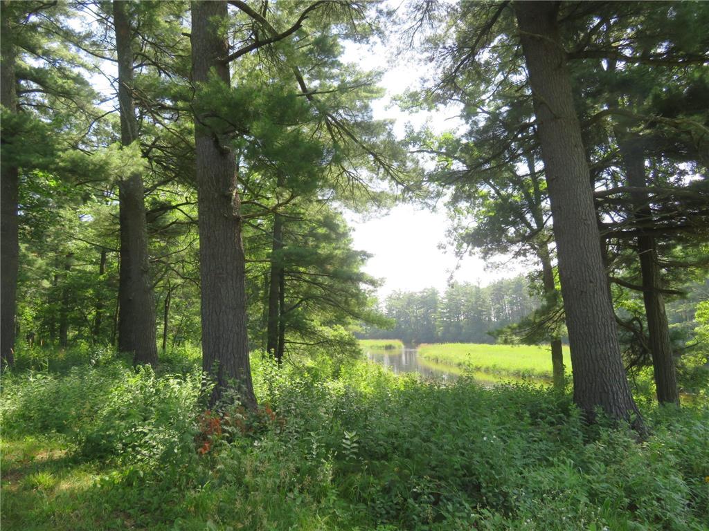 2259A 22nd Street Rice Lake WI 54868 - Red Cedar River 6792884 image13