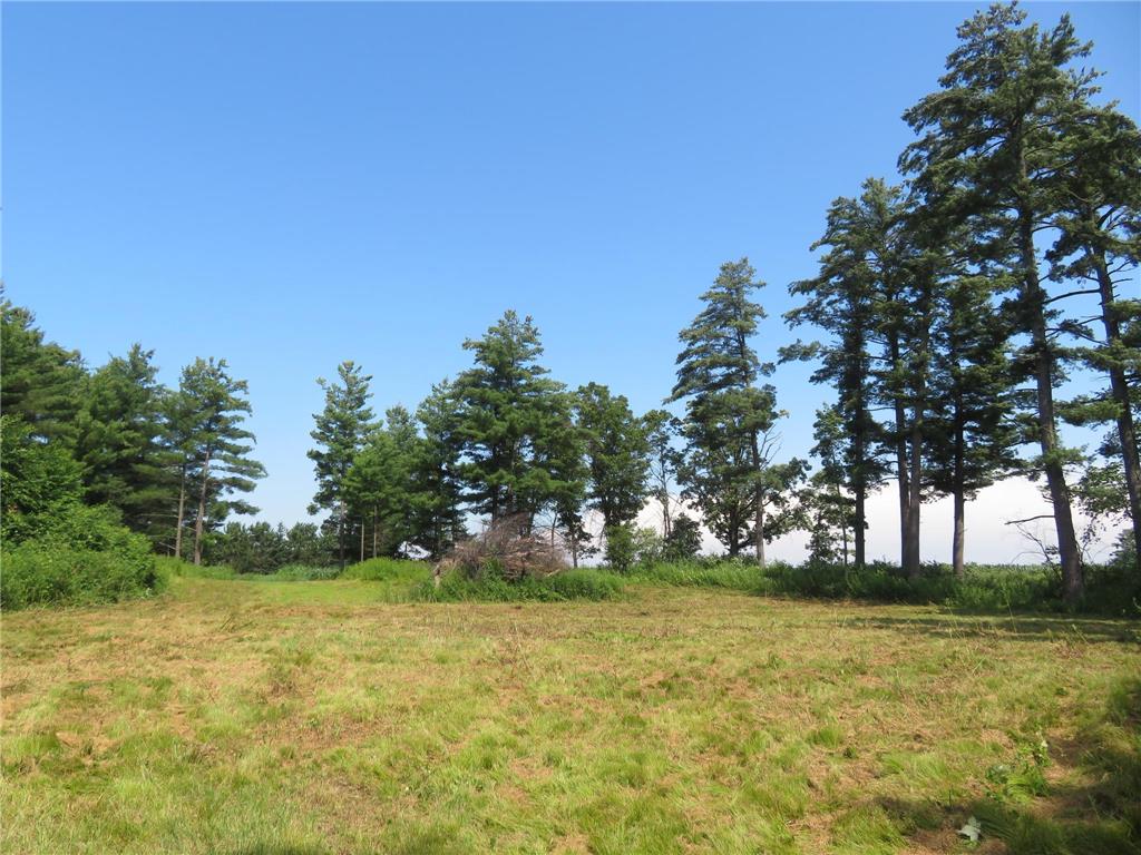2259A 22nd Street Rice Lake WI 54868 - Red Cedar River 6792884 image15