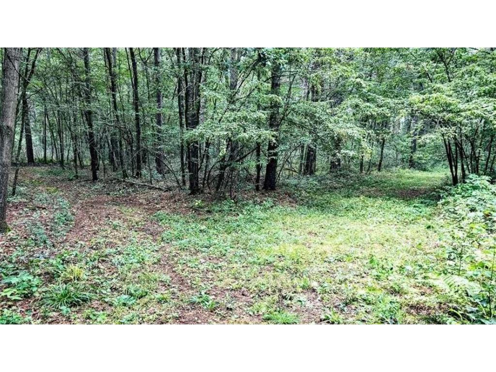 2259A 22nd Street Rice Lake WI 54868 - Red Cedar River 6792884 image16