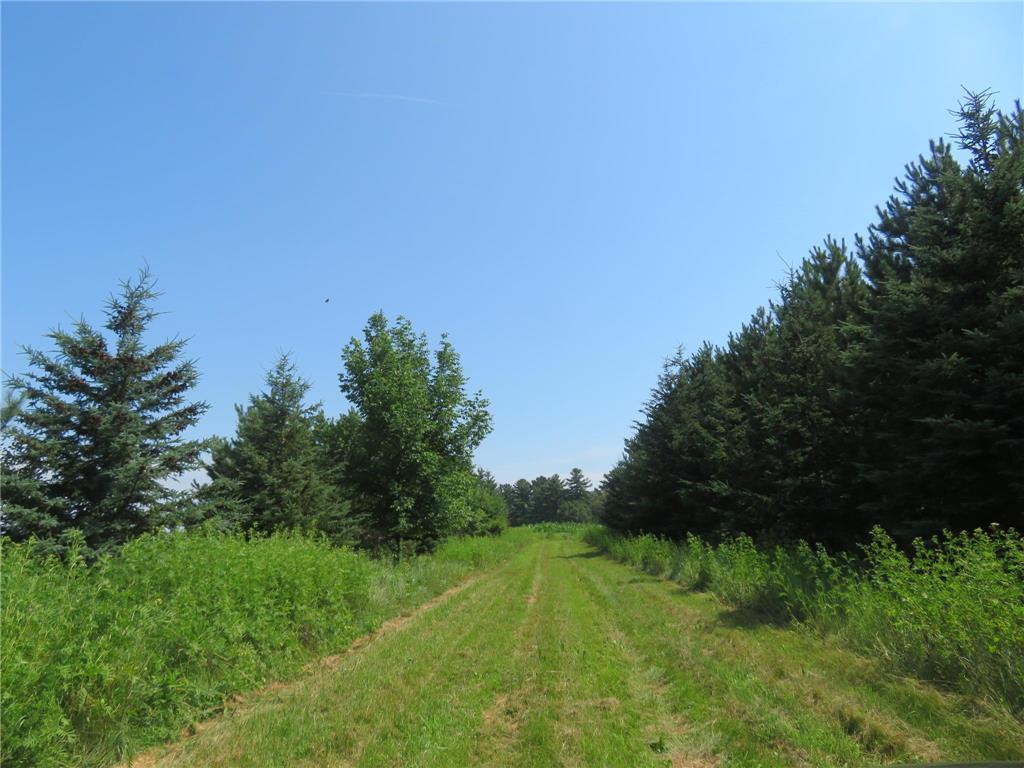 2259A 22nd Street Rice Lake WI 54868 - Red Cedar River 6792884 image5