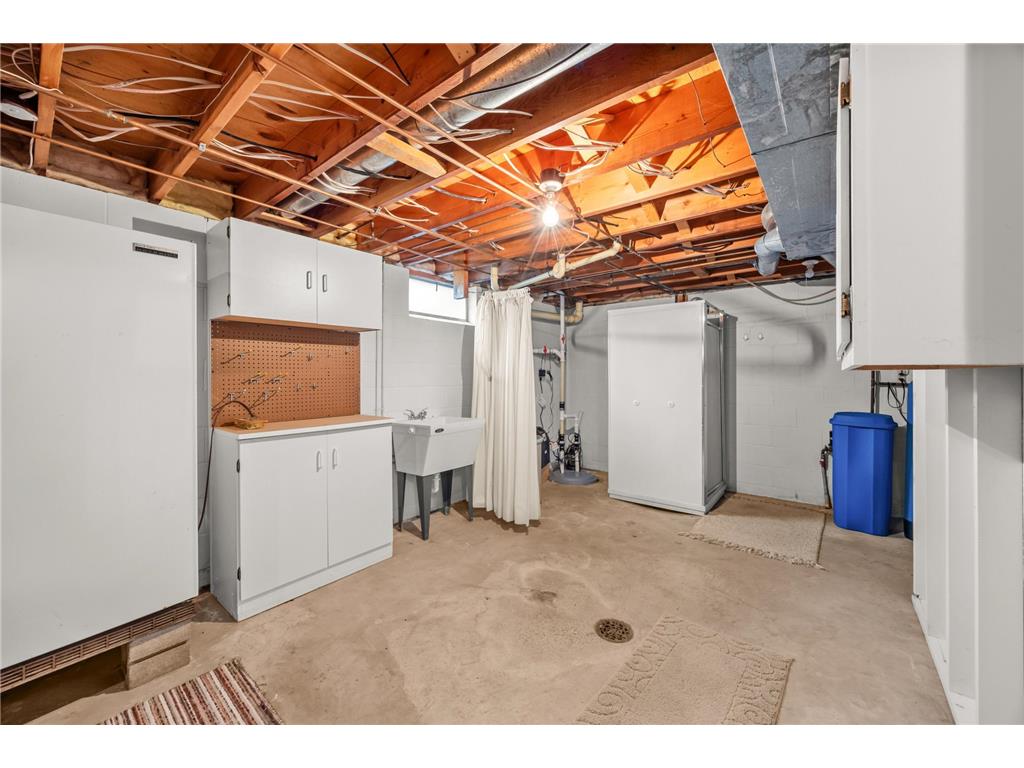 226 Ash Avenue Bird Island MN 55310 6739987 image32