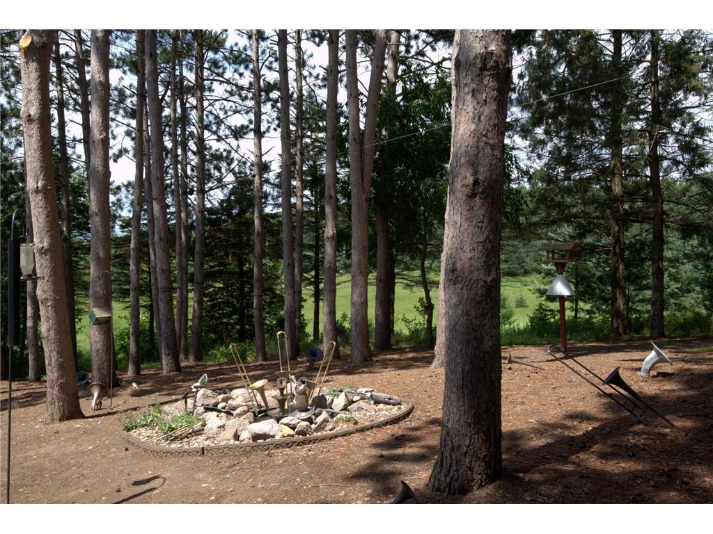 22603 Fable Road Saint Augusta MN 56301 7074730 image43