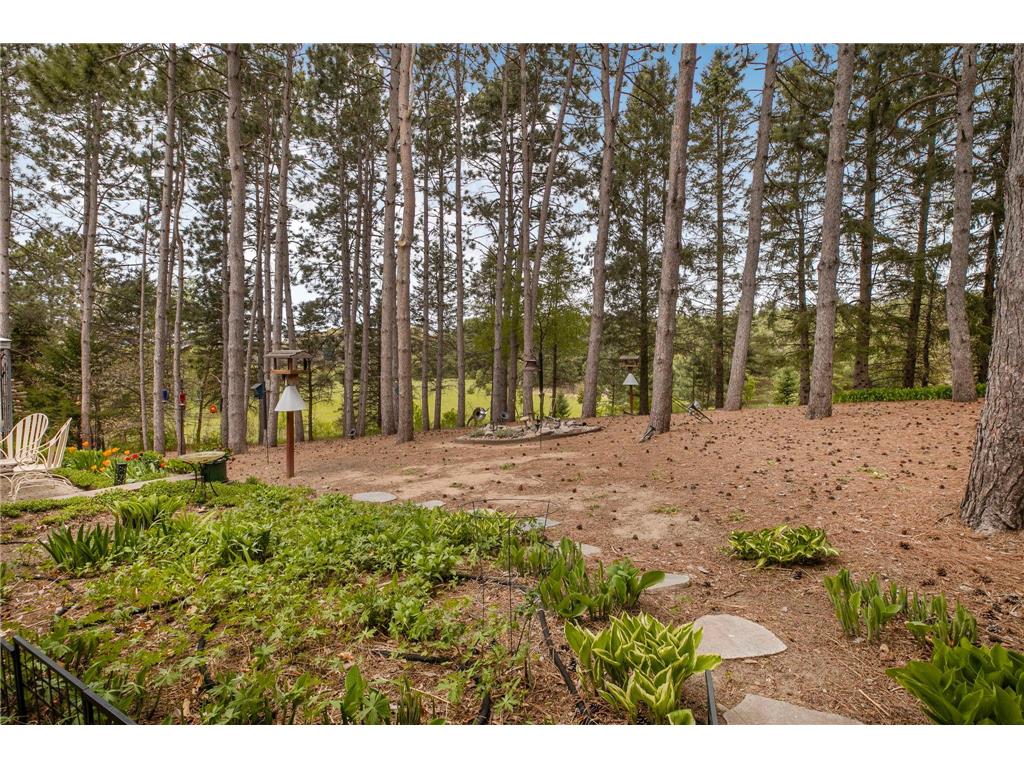 22603 Fable Road Saint Augusta MN 56301 7074730 image45