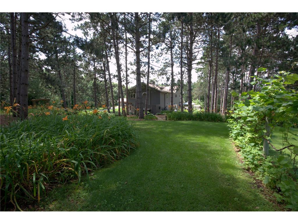 22603 Fable Road Saint Augusta MN 56301 7074730 image5