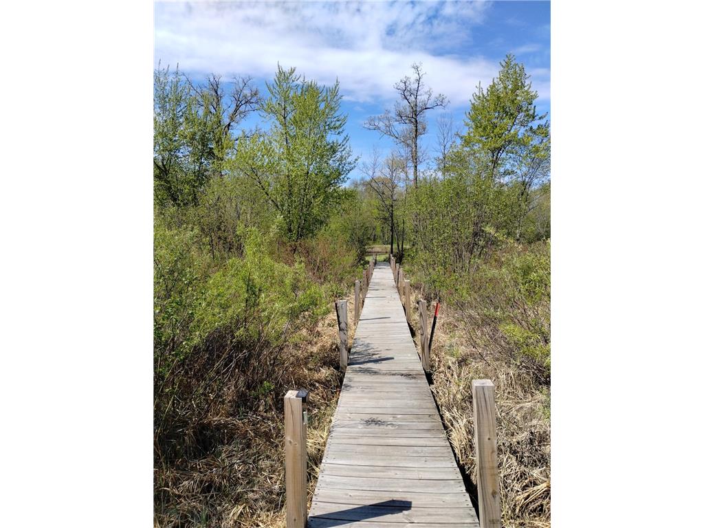 2263 280th Avenue Peace Twp MN 55007 - Snake River 7075503 image15