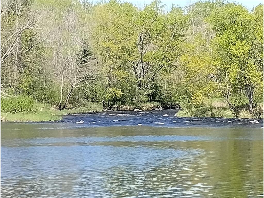 2263 280th Avenue Peace Twp MN 55007 - Snake River 7075503 image28