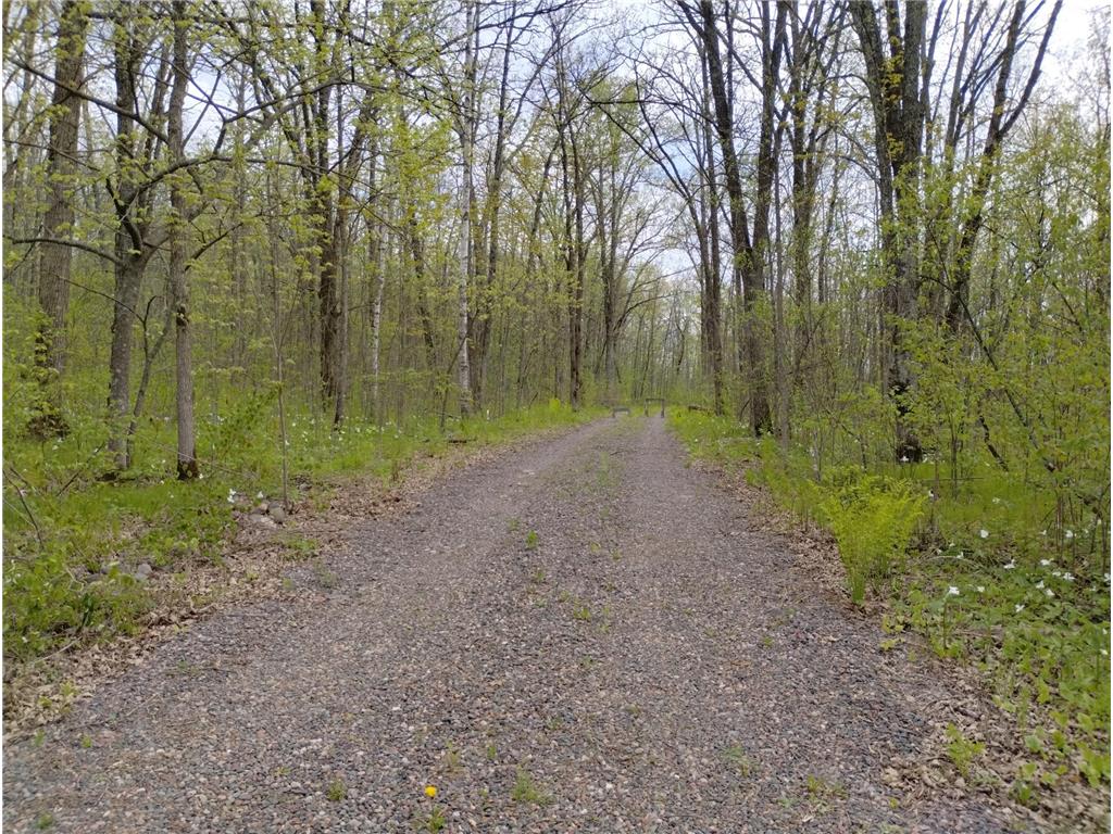 2263 280th Avenue Peace Twp MN 55007 - Snake River 7075503 image3