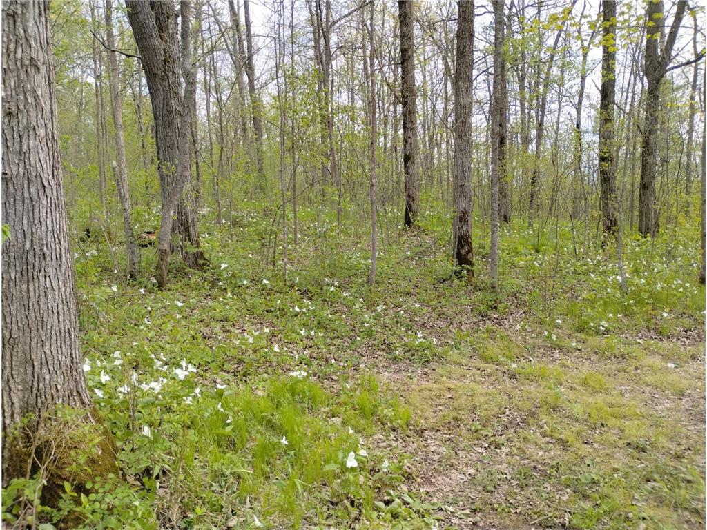 2263 280th Avenue Peace Twp MN 55007 - Snake River 7075503 image30