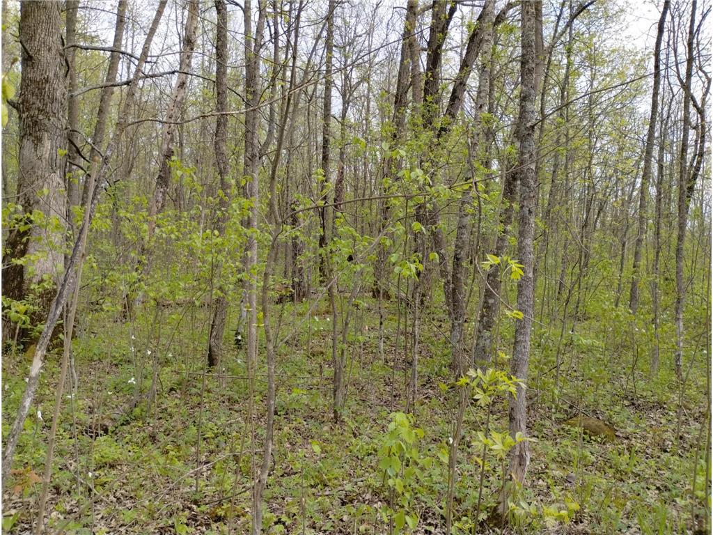 2263 280th Avenue Peace Twp MN 55007 - Snake River 7075503 image31