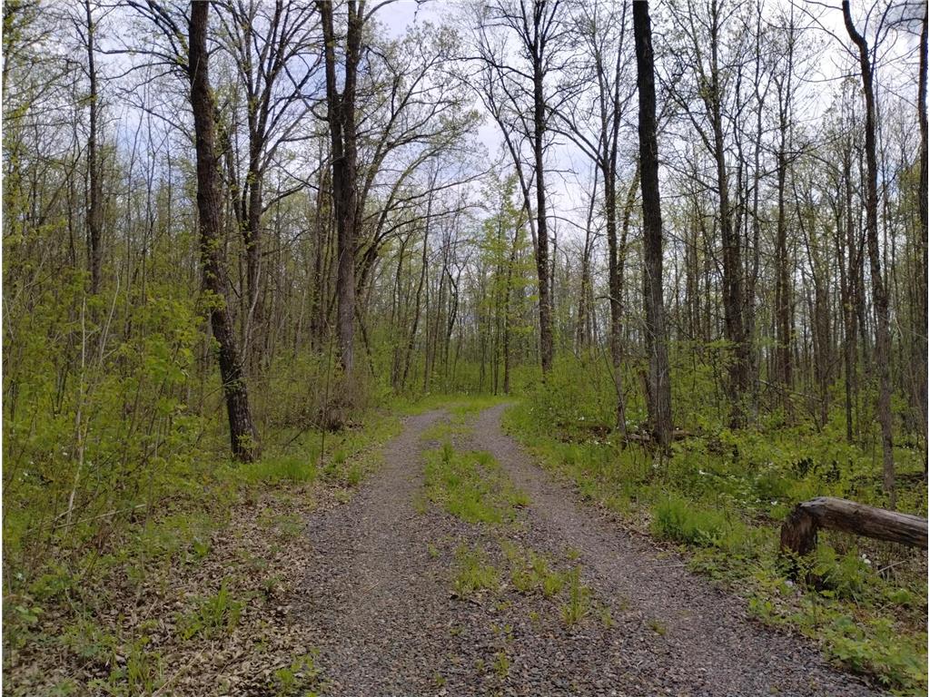 2263 280th Avenue Peace Twp MN 55007 - Snake River 7075503 image32