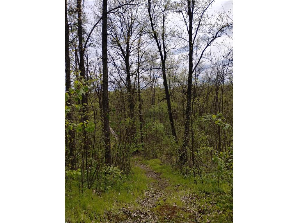 2263 280th Avenue Peace Twp MN 55007 - Snake River 7075503 image33