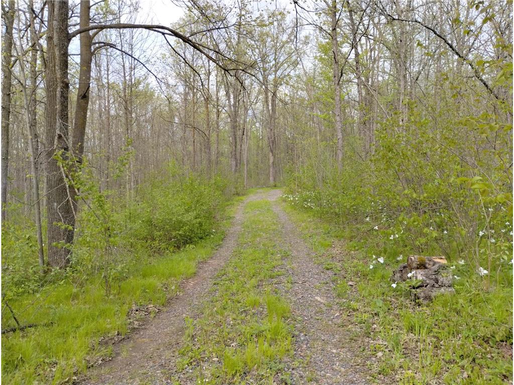 2263 280th Avenue Peace Twp MN 55007 - Snake River 7075503 image34