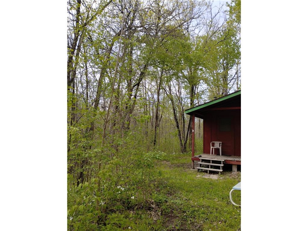 2263 280th Avenue Peace Twp MN 55007 - Snake River 7075503 image36