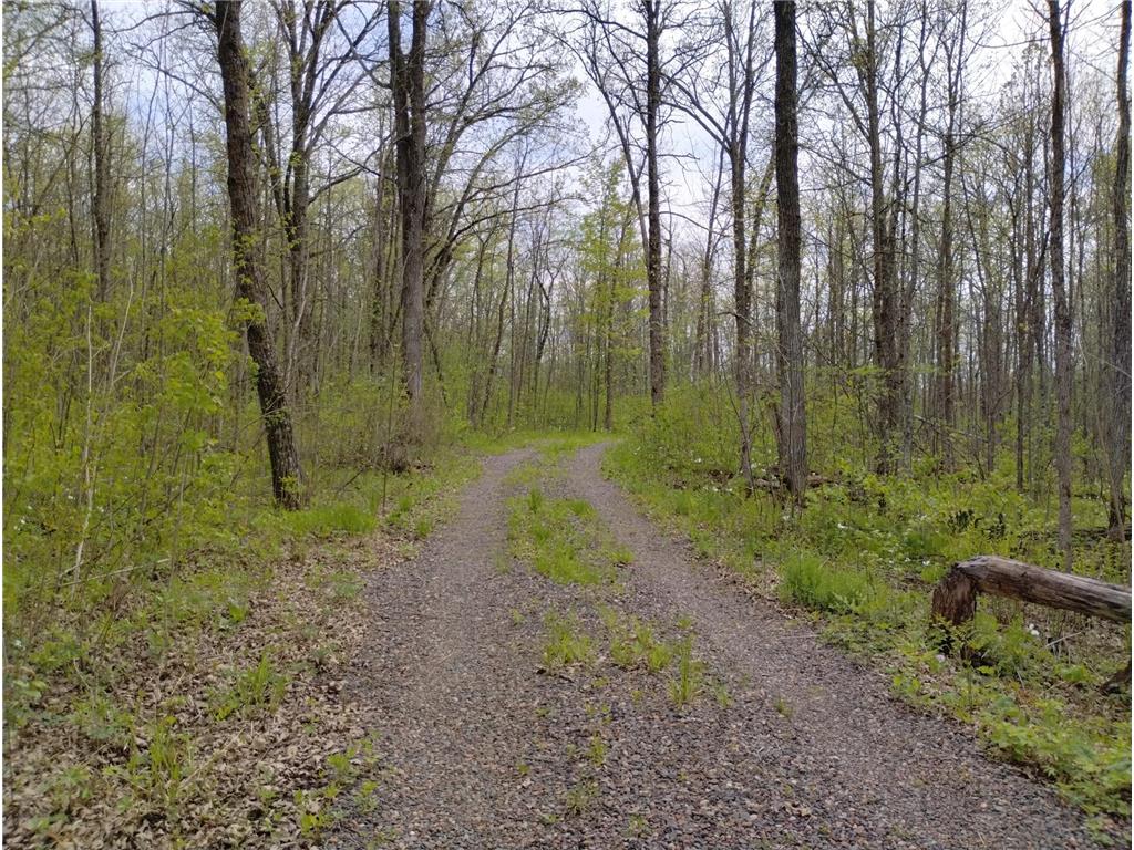 2263 280th Avenue Peace Twp MN 55007 - Snake River 7075503 image4