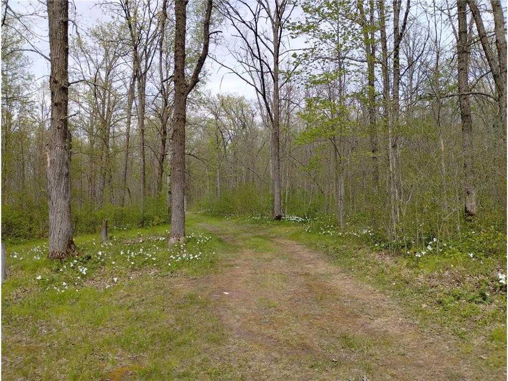 2263 280th Avenue Peace Twp MN 55007 - Snake River 7075503 image50