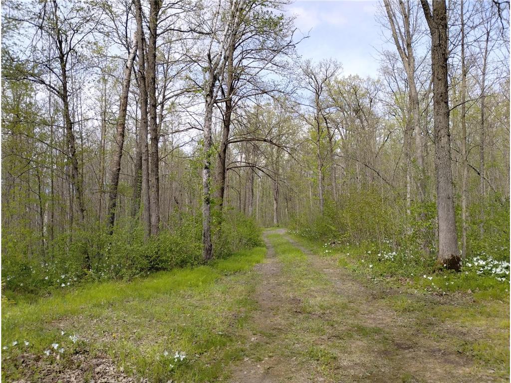 2263 280th Avenue Peace Twp MN 55007 - Snake River 7075503 image51