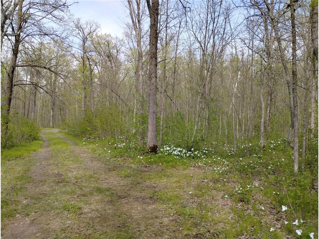 2263 280th Avenue Peace Twp MN 55007 - Snake River 7075503 image52