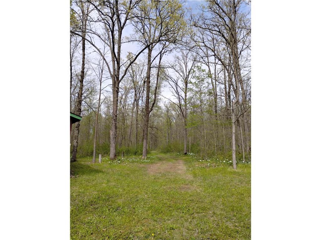 2263 280th Avenue Peace Twp MN 55007 - Snake River 7075503 image53