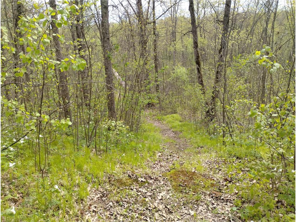 2263 280th Avenue Peace Twp MN 55007 - Snake River 7075503 image54